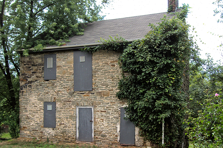 Stone building with gray doors and windows and green vines with leaves with trees.